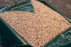 Silva Crumb Pine Pellet Bedding